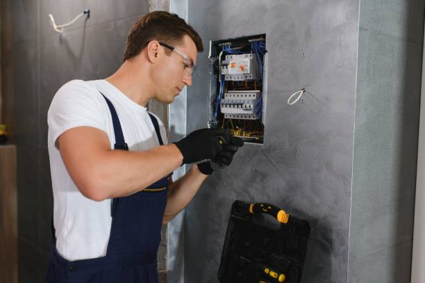 Best Electrical System Inspection  in Dock Junction, GA